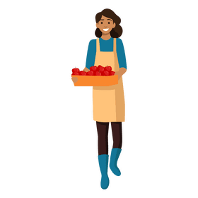 Woman harvest apple clipart