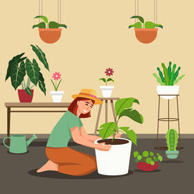 House garden vector
