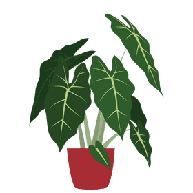 Plant pot clipart