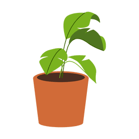 Potted plant clipart