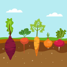 Planting different vegetables vector