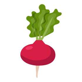Radish clipart