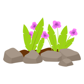 Flowers clipart