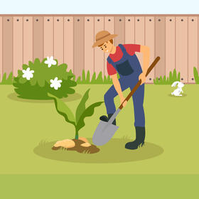 Planting plant vector