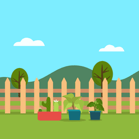 Backyard garden vector