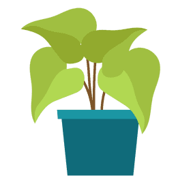 Plant clipart