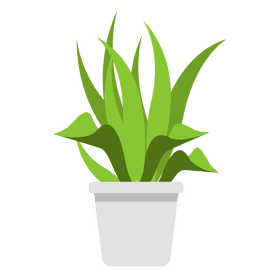 Pot plant clipart