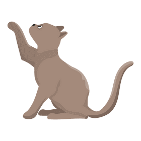 Cat clipart
