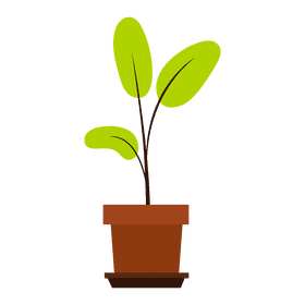 Pot plant clipart