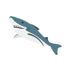 Shark clipart