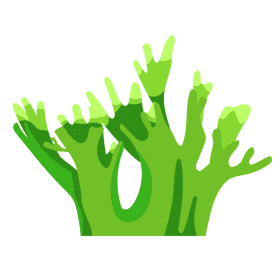 Sea plant clipart