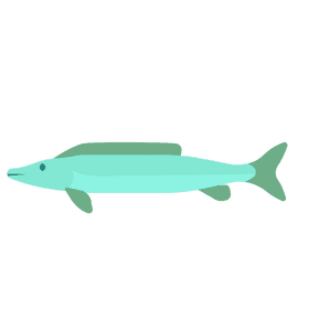 Fish under the sea clipart
