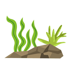 Sea plant under the rock clipart