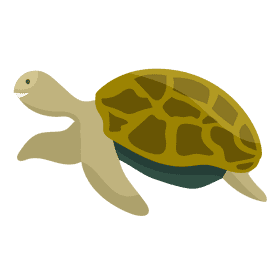 Sea turtle clipart