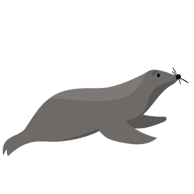 Seals clipart