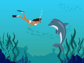 Playing with dolphin vector