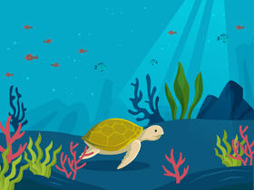 Sea turtle vector
