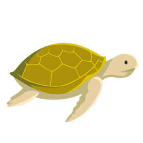 Sea turtle clipart