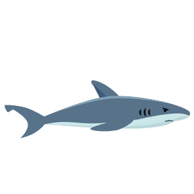 Shark swimming clipart