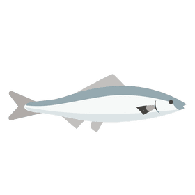Fish clipart