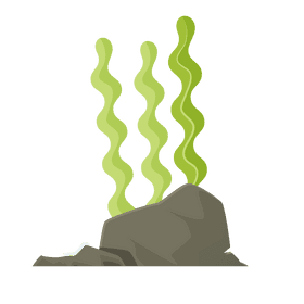 Sea plant on the rock clipart