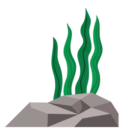 Seaweed on rocks clipart