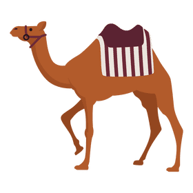 Camel clipart