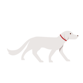 Dog walk clipart