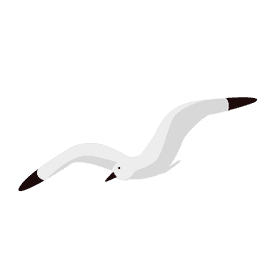 Seagull clipart