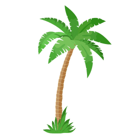 Palm tree clipart