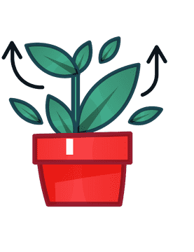 Plant clipart