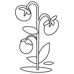 Farmer tomato black and white clipart