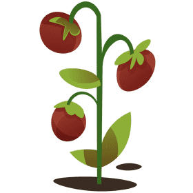 Farmer tomato clipart