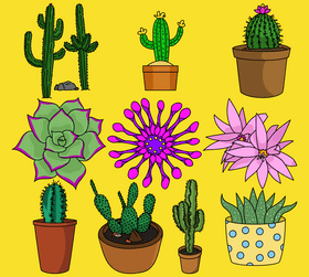 Cactus flower set vector
