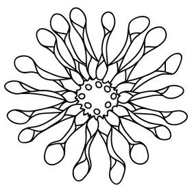 Cactus flower black and white clipart