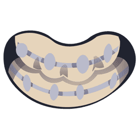 Dentist braces clipart
