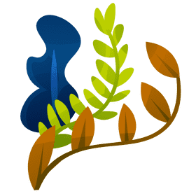 Seaweed clipart