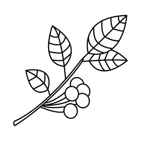 Cherry branch with leaves black and white clipart