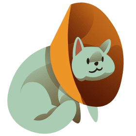 Veterinarian cat clipart