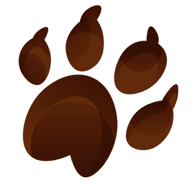 Veterinarian footprint clipart
