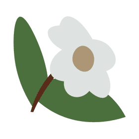 America flower clipart