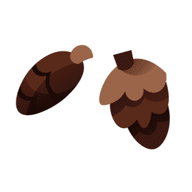 Pine cone clipart