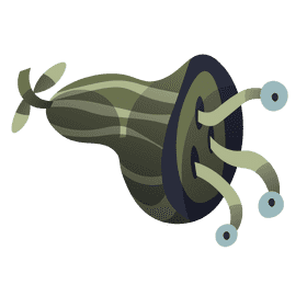 Ancient cuttlefish clipart