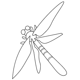 Ancient dragonfly black and white clipart
