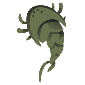 Ancient insect clipart