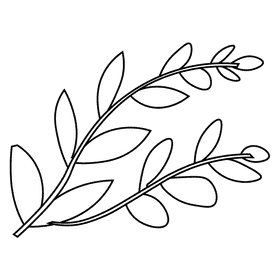 Seaweed black and white clipart