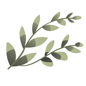 Seaweed clipart