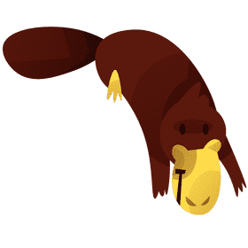 Australian platypus clipart
