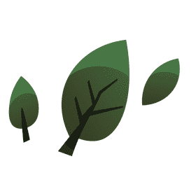 Autumn leaves clipart