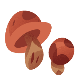 Autumn mushroom clipart